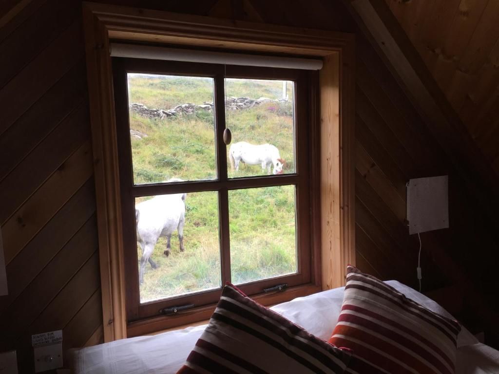 Дома для отпуска Cedar Boathouse Overlookng Baltimore, West Cork & Islands Болтимор-57